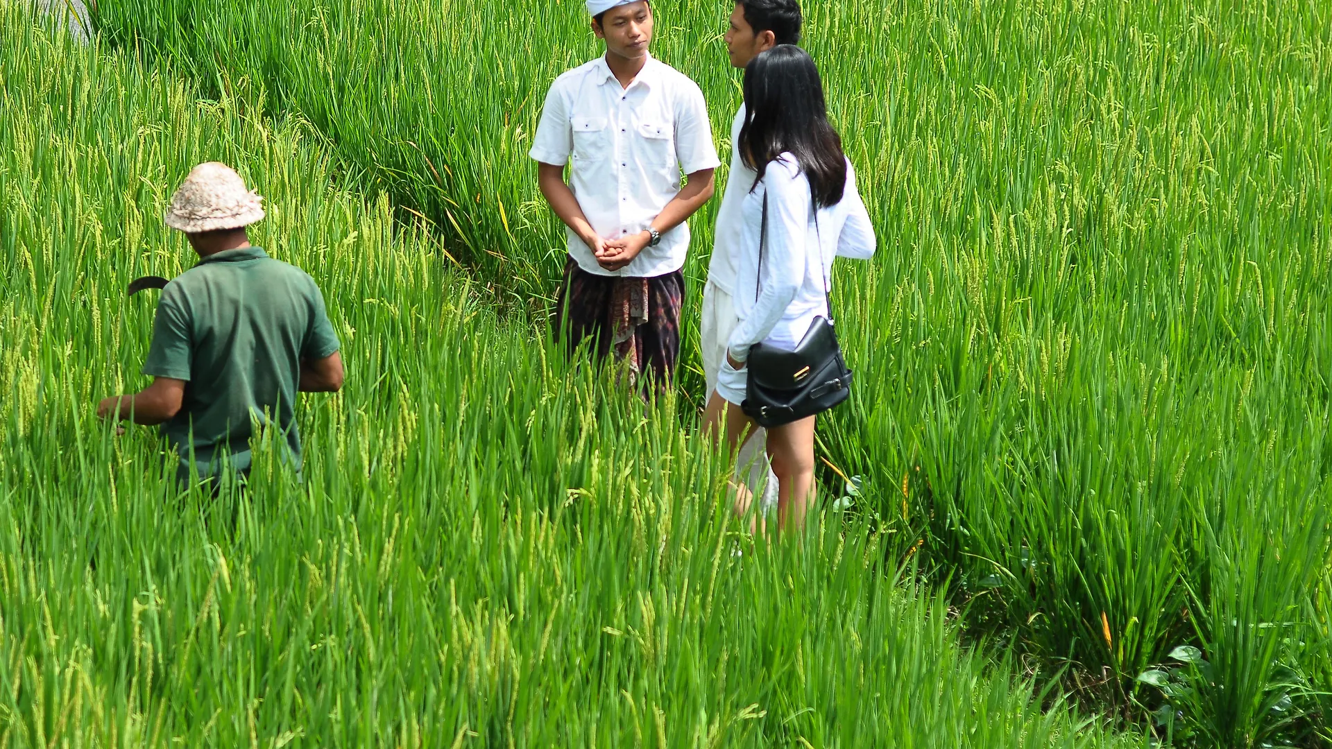 Arma Museum & Resort Ubud