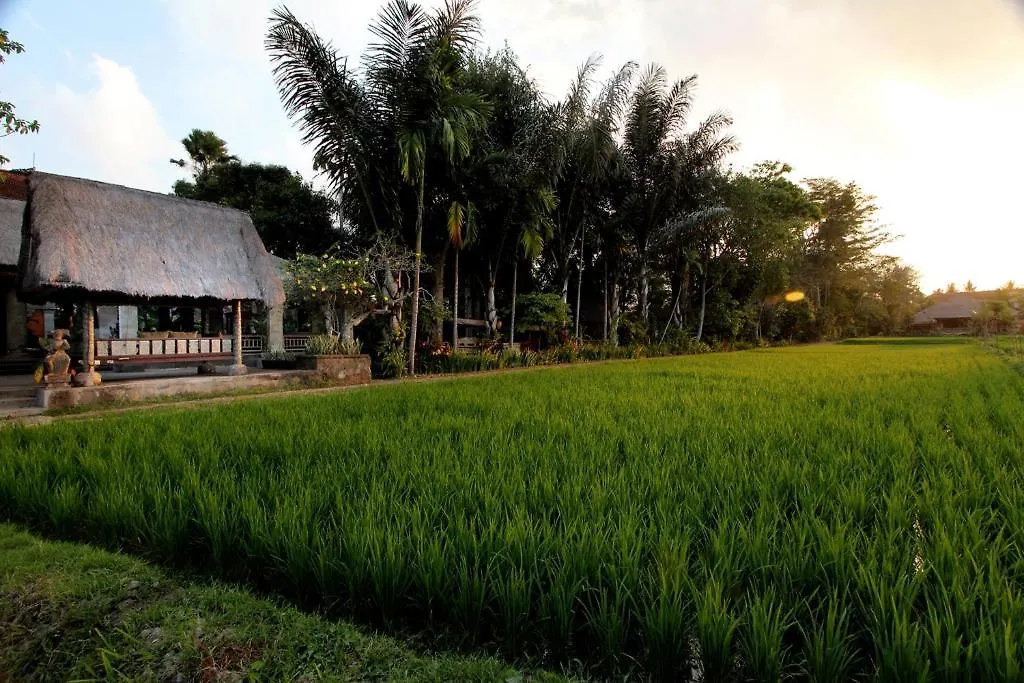 Arma Museum & Resort Ubud  4*, Ubud (Bali)